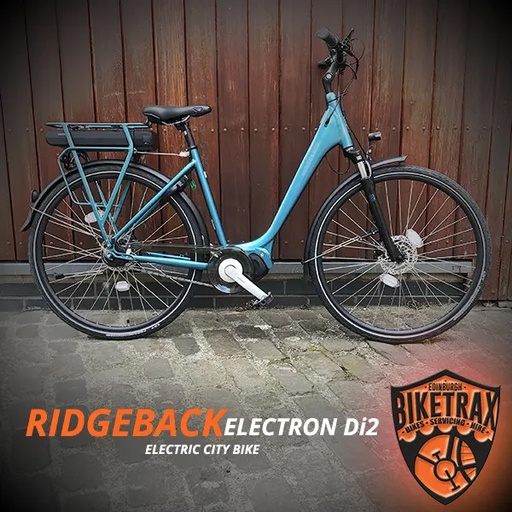 Ridgeback Electron